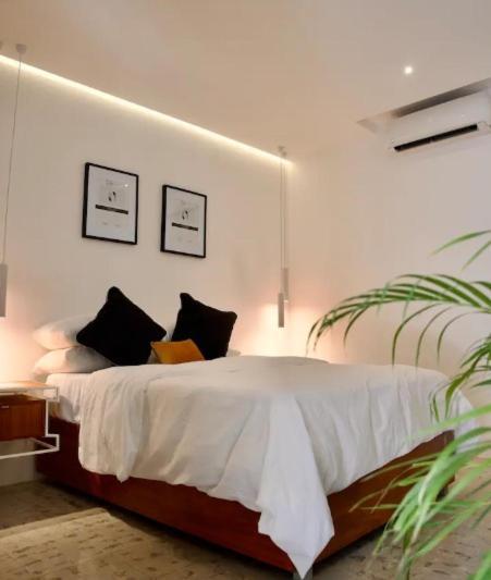 Casa Elda Ξενοδοχείο Mérida Εξωτερικό φωτογραφία